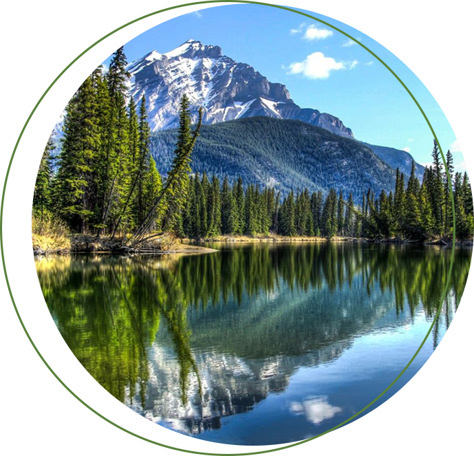 A picture of the mountains and trees in front of a lake.